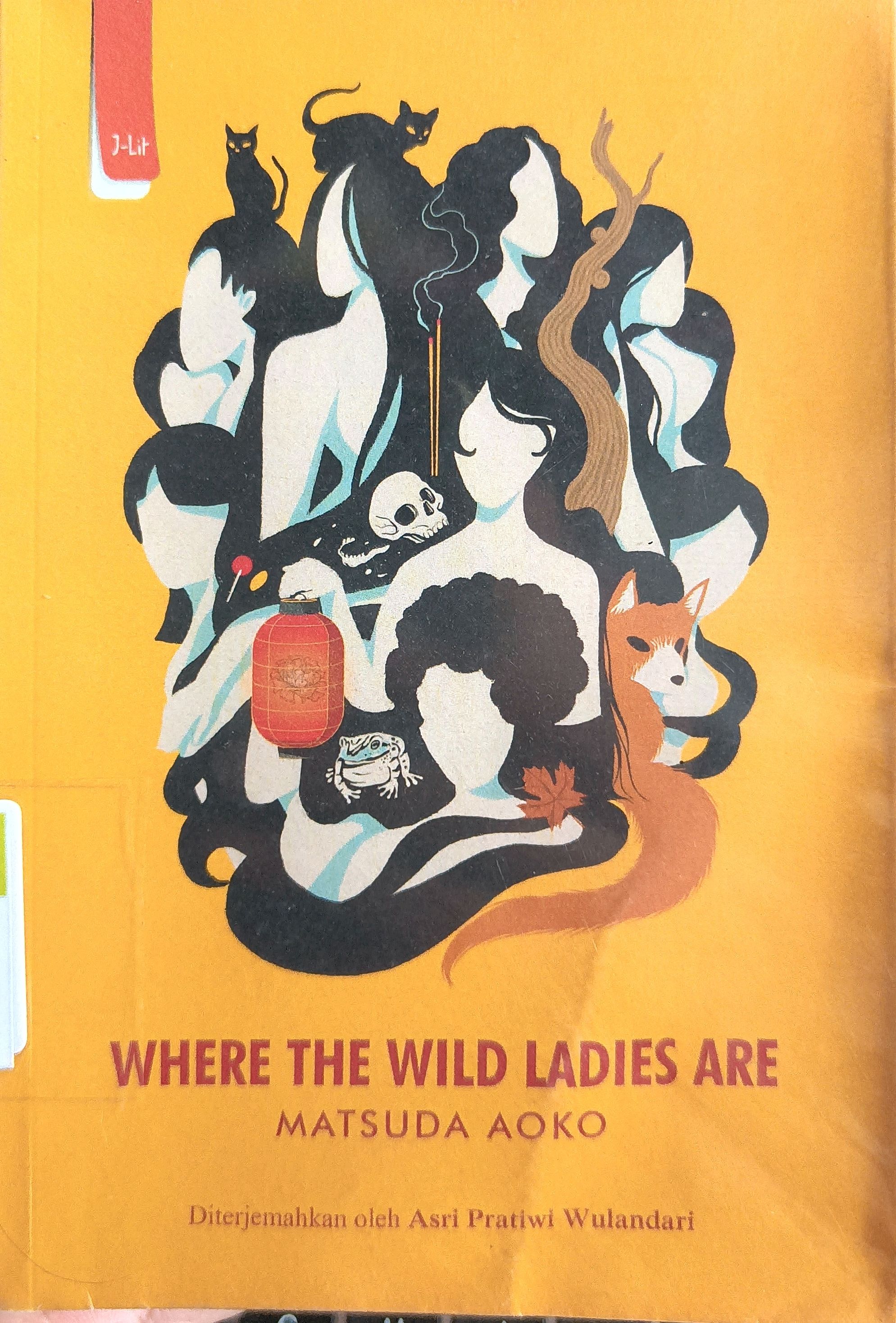 Cover Obachan tachi no irutokoro - Where The Wild Ladies Are